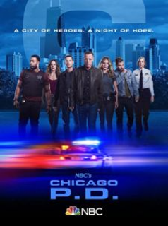 voir serie Chicago Police Department saison 7