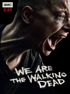 voir The Walking Dead Saison 11 en streaming 