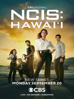 voir serie NCIS: Hawai'i en streaming