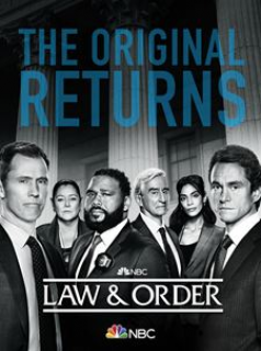 voir serie New York District / New York Police Judiciaire (Law & Order) saison 22