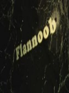 voir serie Flannoob en streaming