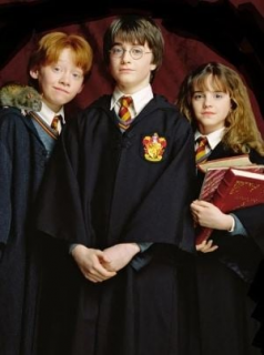 voir serie Harry Potter Series en streaming